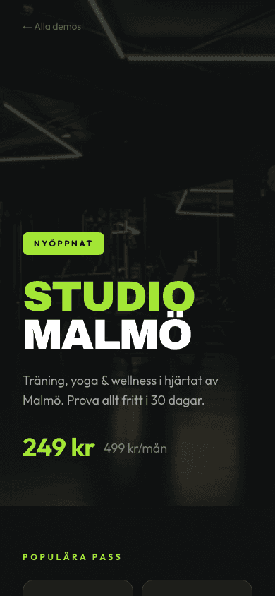 Studio Malmö — Flyer